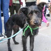 Luna - Photo 2
