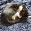 Twix - Photo 1