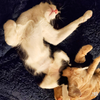 Twix - Photo 4