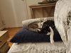 Twix - Photo 2