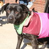 Grace - Photo 2