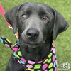 Rosemarie - Photo 4