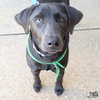 Rosemarie - Photo 3