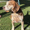 Vanpelt - Photo 4