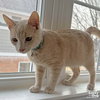 Bruce - Photo 4