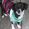 Ivy - Photo 3