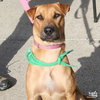 Gabriella - Photo 1