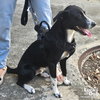 Benito - Photo 4