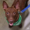 Brandon - Photo 2