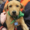 Baby Petal - Photo 1