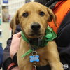 Baby Petal - Photo 2
