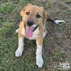 Baby Blossom - Photo 4