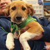 Baby Blossom - Photo 1