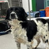 Delilah - Photo 2