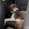 Gravy - Photo 3