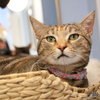 Genny - Photo 2