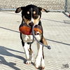 Isabelle - Photo 2