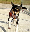 Isabelle - Photo 3