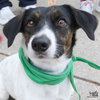 Chucho - Photo 1