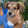 Emilio - Photo 3