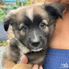 Eddie - Photo 2