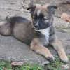 Eddie - Photo 3