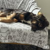 Shelby - Photo 4