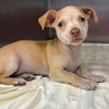 Winnie - Photo 4