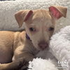 Winnie - Photo 3