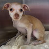 Wilma - Photo 1