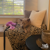 Missy - Photo 3