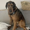 Fred - Photo 3