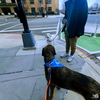 Fred - Photo 4