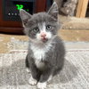 Bleep - Photo 1