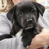 Dr. Bubbles - Photo 1