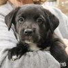 Dr. Bubbles - Photo 2