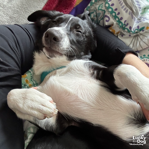 Oakley — thumbnail 3