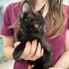 Fritz - Photo 2