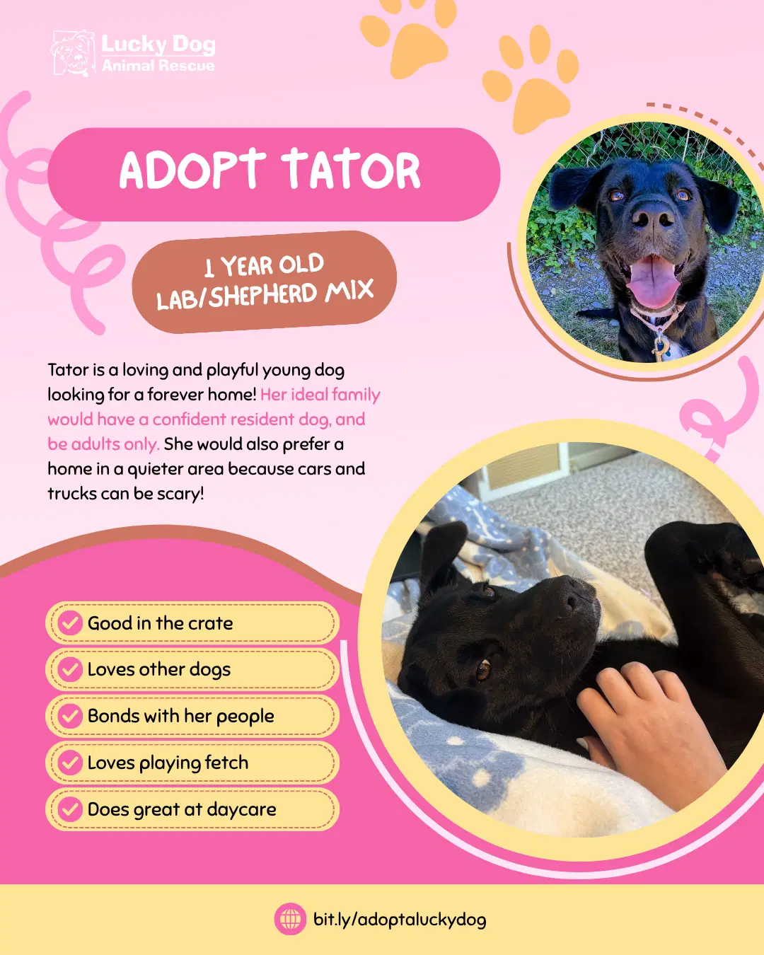 Tator image 4