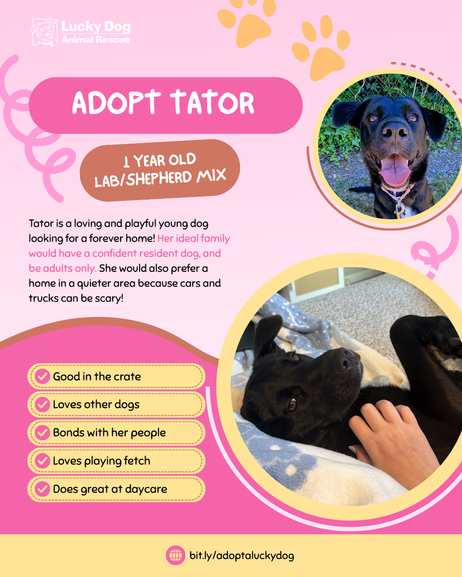 Tator