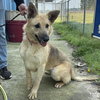 Winn Dixie - Photo 3