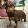 Roscoe - Photo 3
