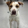 Riley - Photo 1