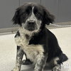 Rayne - Photo 2