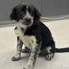 Rayne - Photo 4