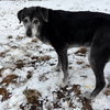 Theodora - Photo 2