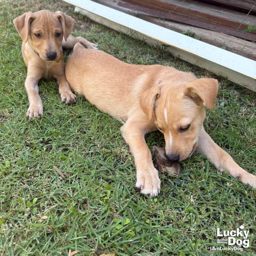 Hailey photo 2