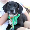 Linda — Washington, DC Adoption