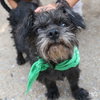 Isaac — Washington, DC Adoption
