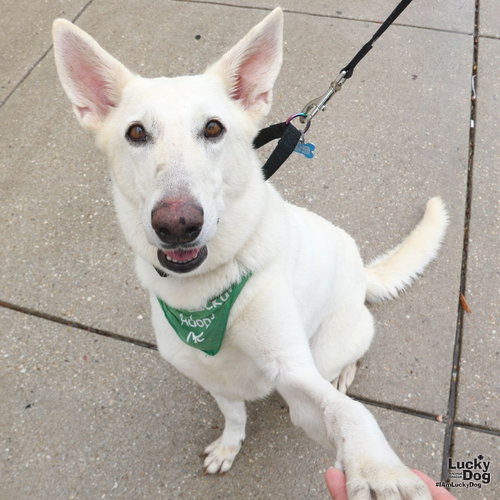 Photo 2 of Petra